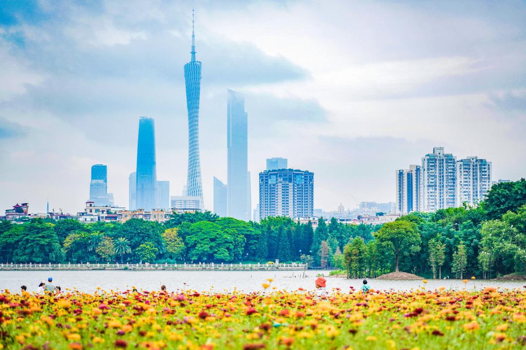 Haizhu Wetland Eco-Adventure